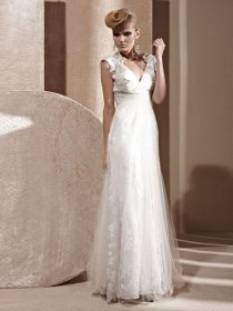 A-line V-neck Embroidery Organza Cape Sleeve Evening Dress
